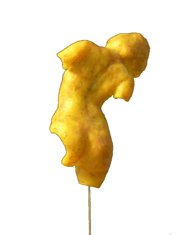 Vénus callipyge jaune